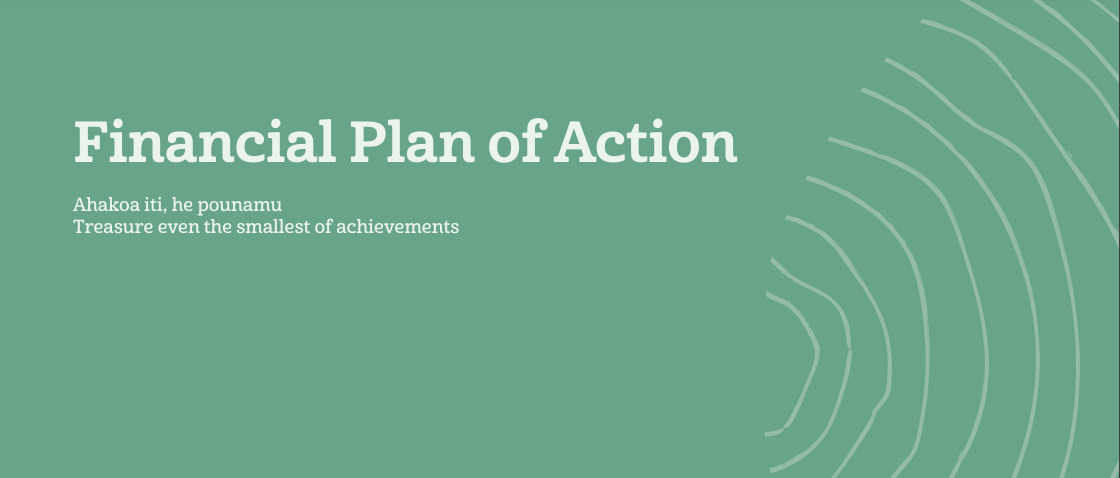 financial plan of action